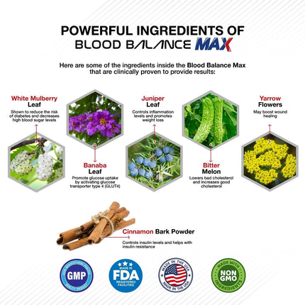 Blood Balance Max - Cholesterol Blood Sugar Lower Support -240 capsules - 4 pack